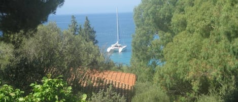 vista sul mare dalla terrazza della casa immersa nella vegetazione