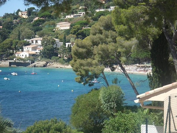 View of Beach & Apartment