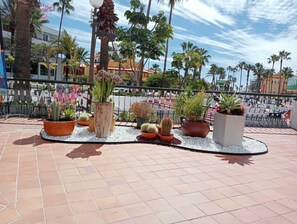 Terraza o patio