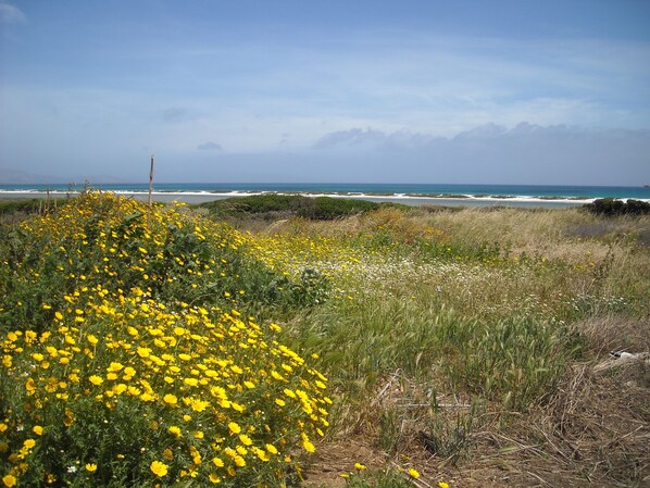 Panorama visto dalla casa.