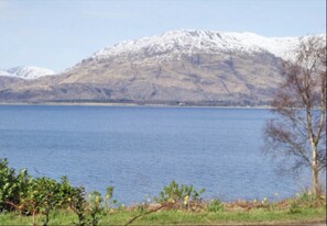 View from living room window