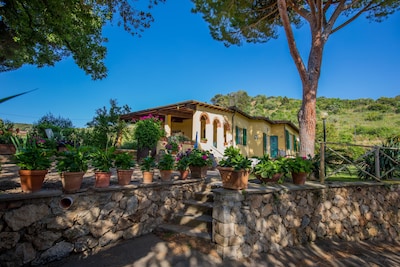 Walking distance from the sea, family countryside villa in Argentario