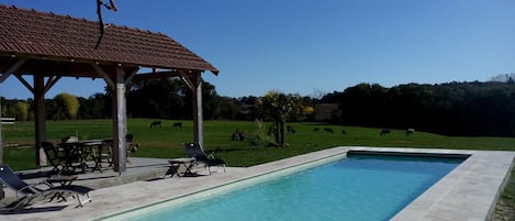 Heated pool and poolhouse with view on the 4 HA park