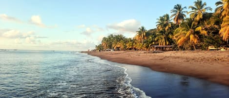 Plage du coin située directement devant la résidence.