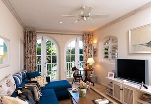 TV Room and media