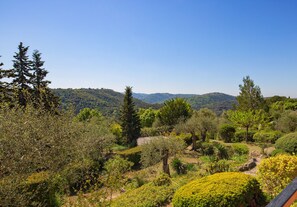 View of garden from the terrace