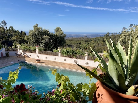 Pool with a view