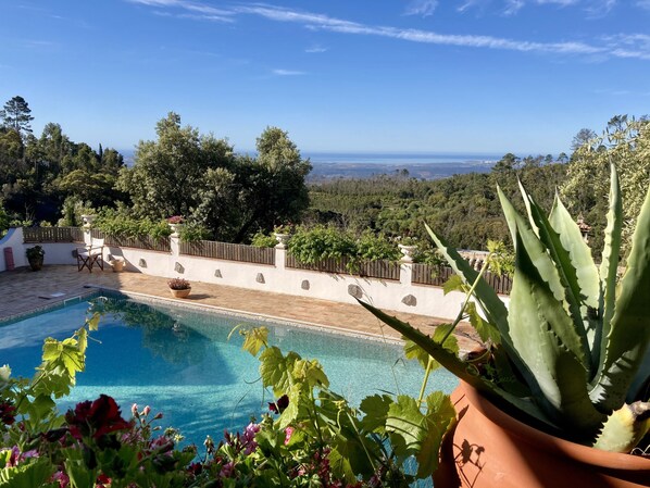 Pool with a view