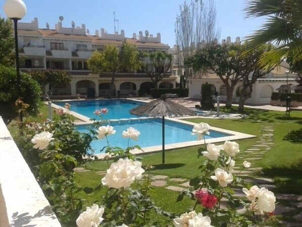 Beautiful Pool and gardens