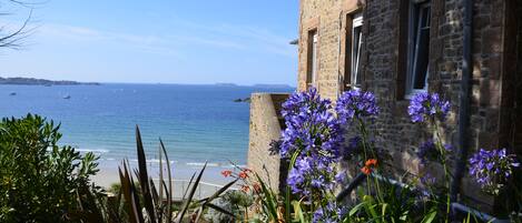 La maison avec ses agapanthes en fleur