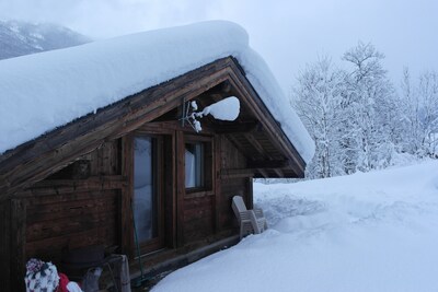 Casa de montaña (madera / piedra) - Les Houches