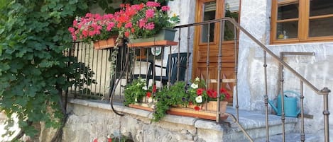 View of the gîte in the summer 