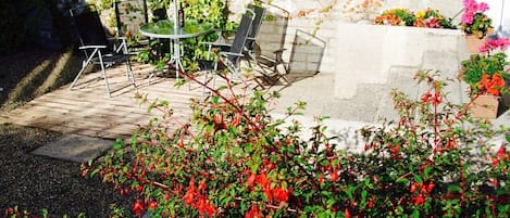 Sunny Patio Garden 