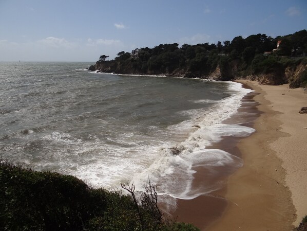 Strand