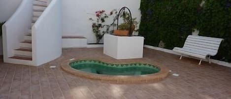 Jacuzzi and well in patio