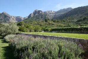 Lawn (footbal pitch!) and mountains