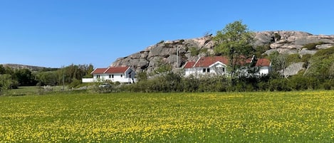 Udendørsområde