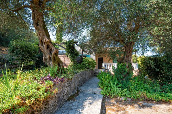 Property pathway and entrance