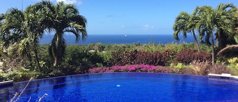 Infinity pool overlooking west coast 