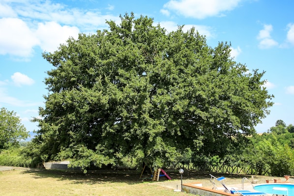 Terrein van de accommodatie