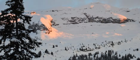 Sneeuw- en skisporten