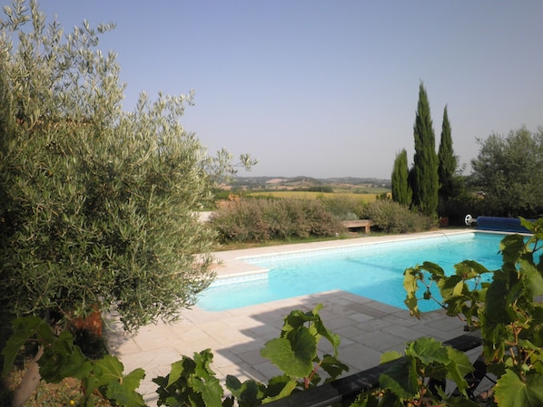 Pool with a view