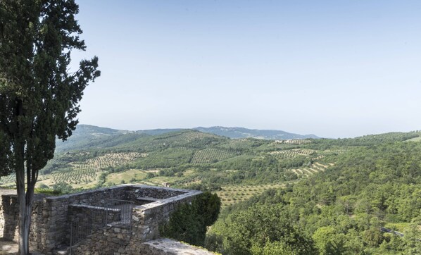 Terrain de l’hébergement 