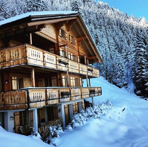 Chalet Sofia in the winter 