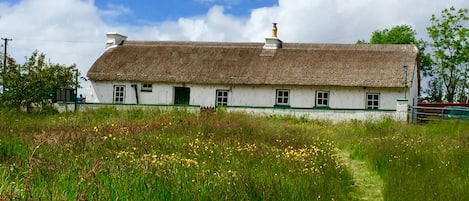 Bridge Cottage and its paddock