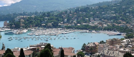 View form the roof top