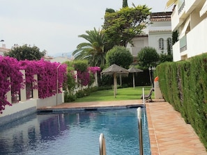 Swimming Pool with Garden