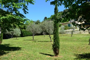 View of villa from the olive grove 