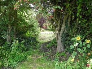 Eine schattige Ecke im Garten