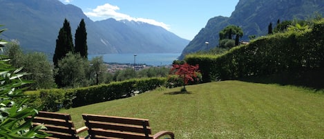 VISTA SUL GIARDINO DALLA FINESTRA DELLA SALA