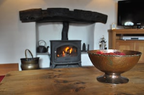 Log Burner, perfect to cosy up in front of on cold winter evenings.