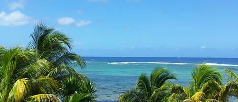 Strand-/Meerblick