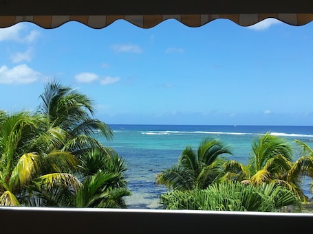 vue du balcon/terrace