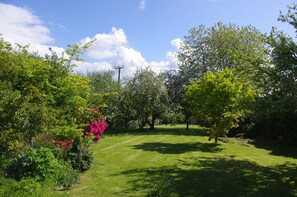 Cottage Garden
