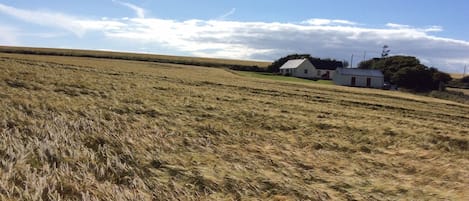 House looking west from the field