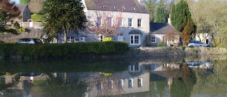 Laburnham Cottage is on the right behind the Monkey Puzzle Tree