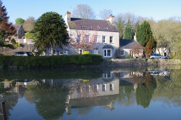 Laburnham Cottage is on the right behind the Monkey Puzzle Tree