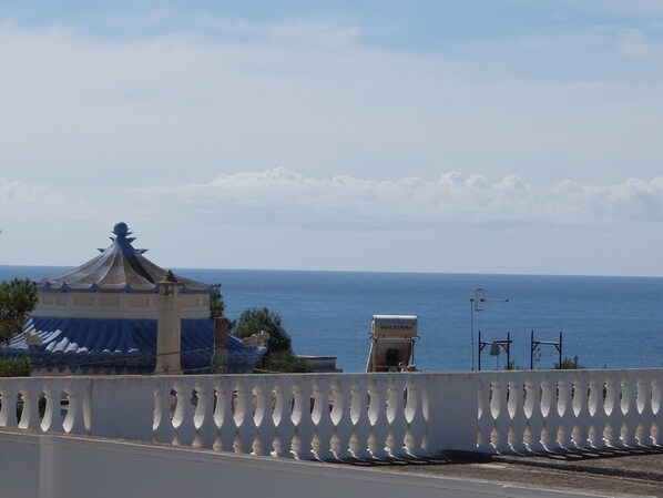 Beach/ocean view