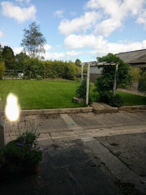 Grassy garden area from back door. Beautiful wisteria in Spring season on arch.