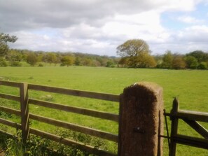 View over field from courtyard. Plenty dog walking areas and quiet, hidden walks