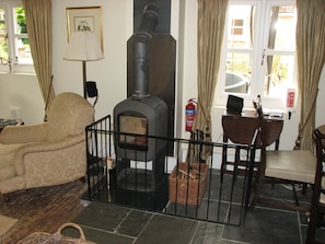 Wood Burning Stove