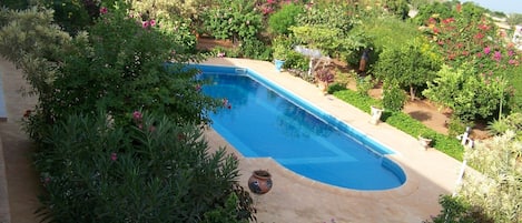 Piscine Jardin