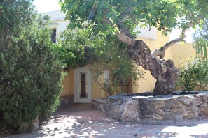 Front door to Veleta with our old fig tree on the right