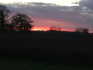 Oklassificerad bild, 5 av 40, knapp