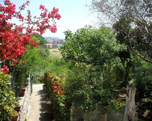 Sentiero d'ingresso - Entrance path