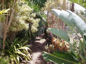 Side garden.